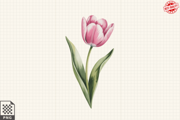 Pink Watercolor Tulip Flower Clipart PNG: A Versatile Digital Asset for Creative Projects