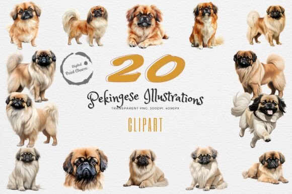 Regal Pekingese 20 PNG Bundle